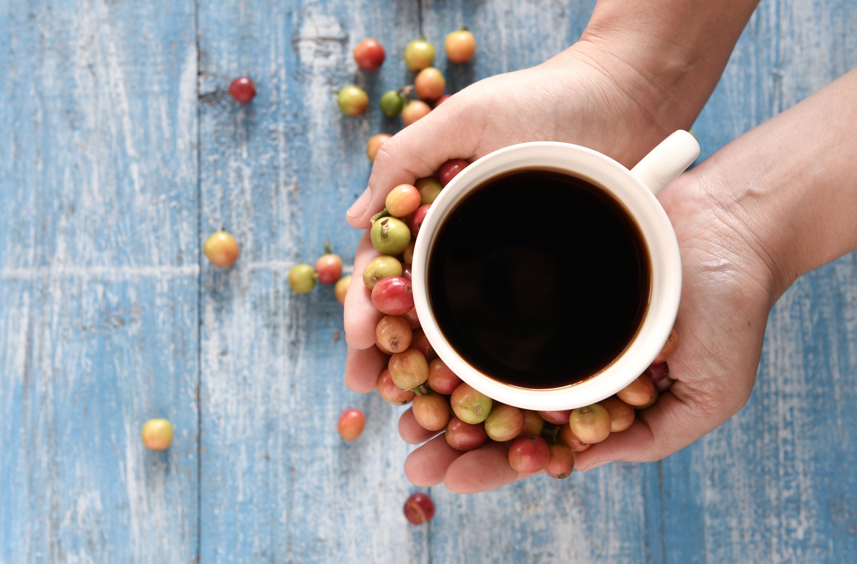 Le parcours du grain de café (de la graine à la tasse)