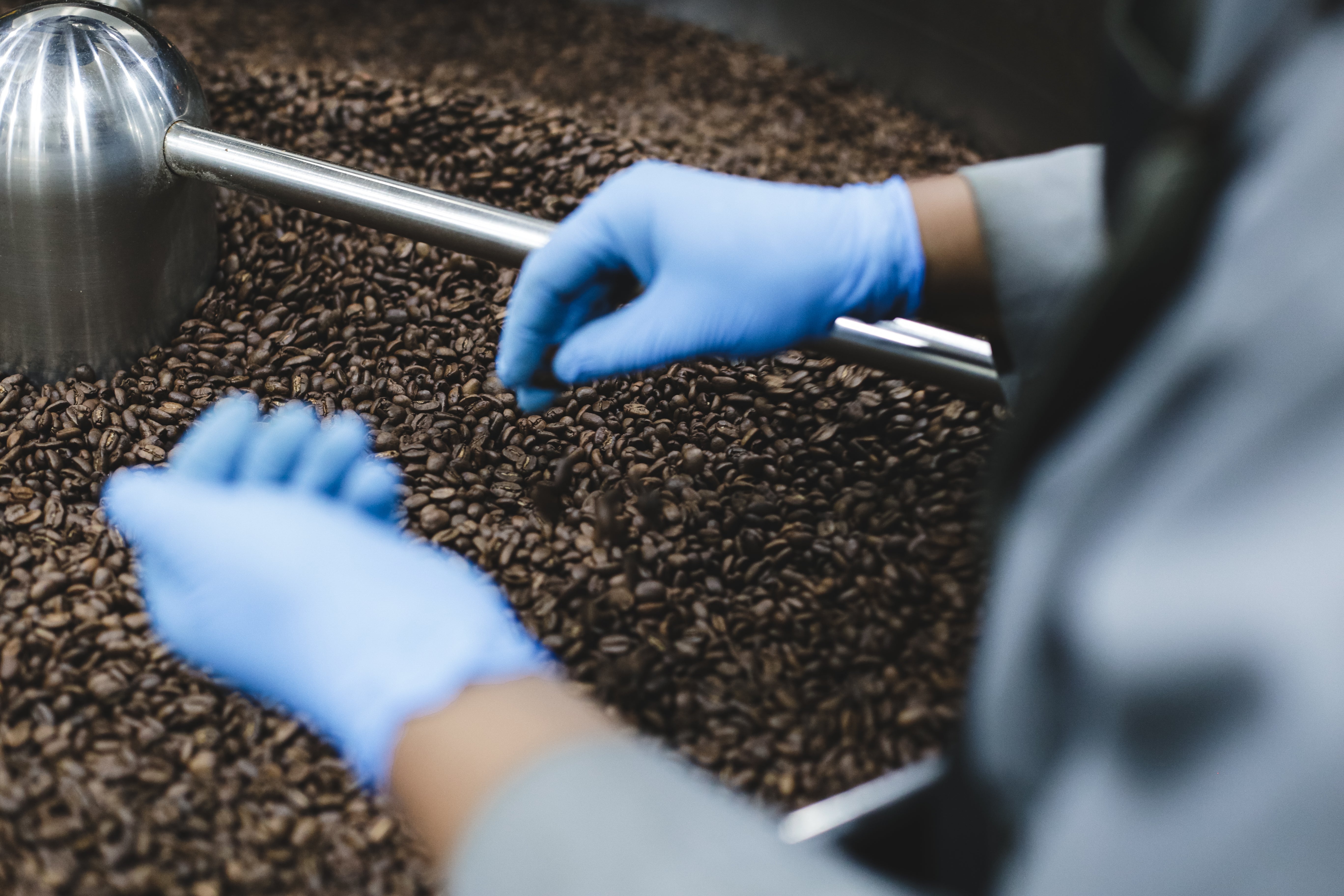 Why Coffee Roasted by a Master Roaster Tastes Better